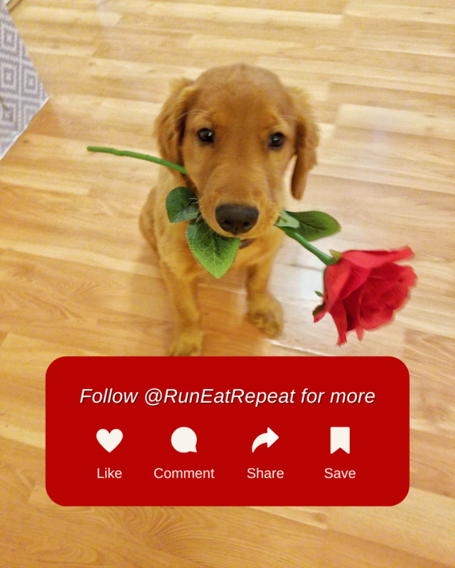 15 Funny Valentine's Day Memes for Runners